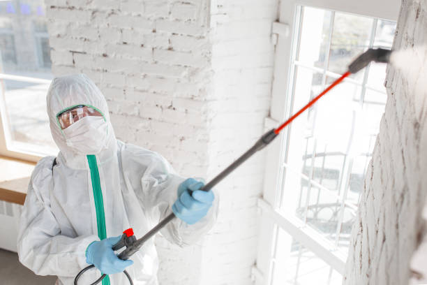 Best Comprehensive Air Testing for Mold Contaminants  in Muniz, TX